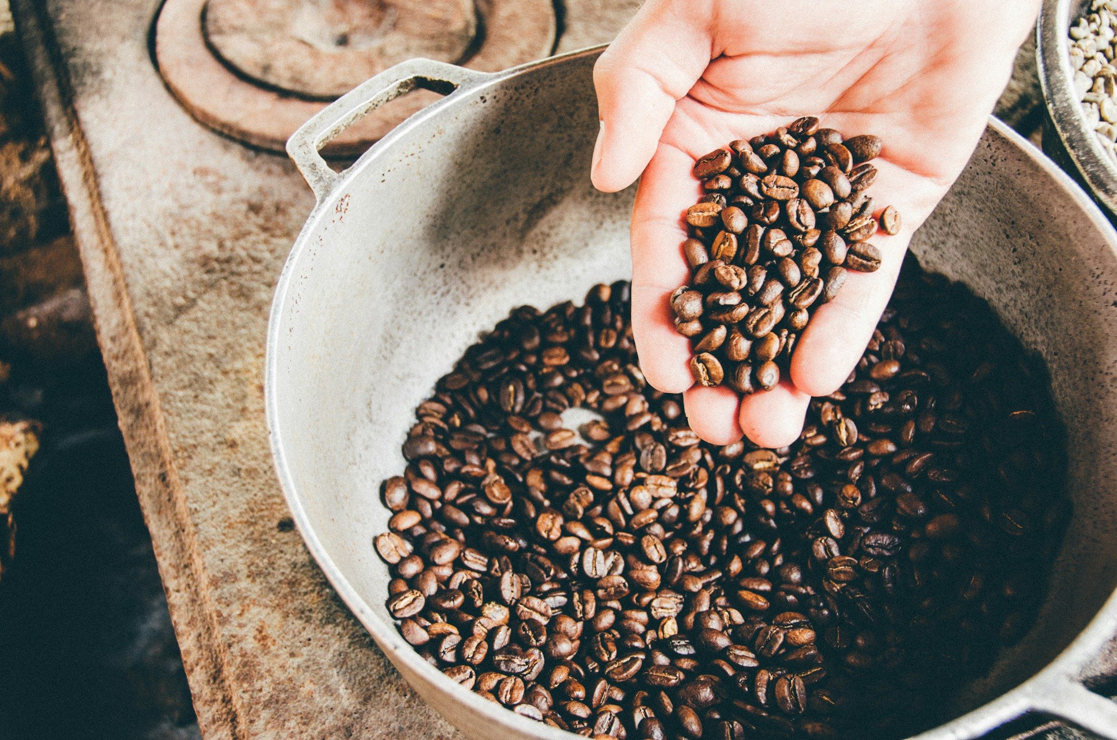 A hand lifting a scoop of freshly roasted coffee beans from a metal pan at the roastery